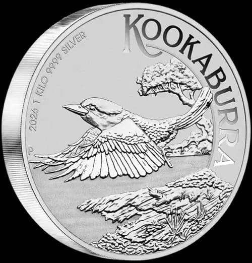 gallery-2